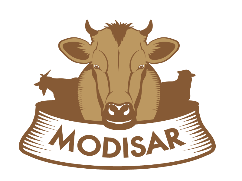 MODISAR NET PTY LTD